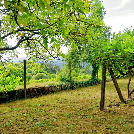 Zen Vouga Ribeiradio