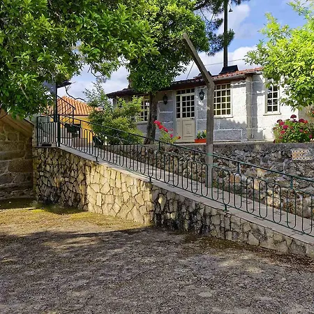 Zen Vouga * Ribeiradio