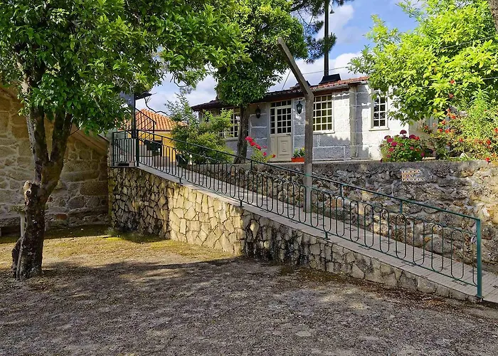 Zen Vouga * Ribeiradio