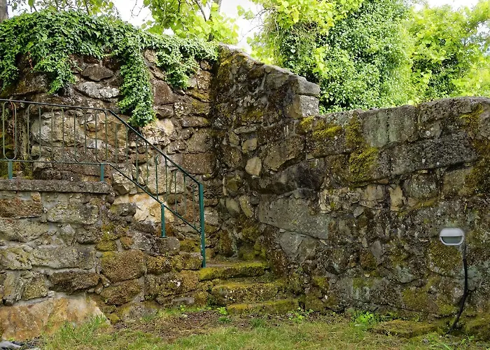 Zen Vouga * Ribeiradio