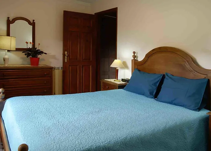 Zen Vouga * Ribeiradio